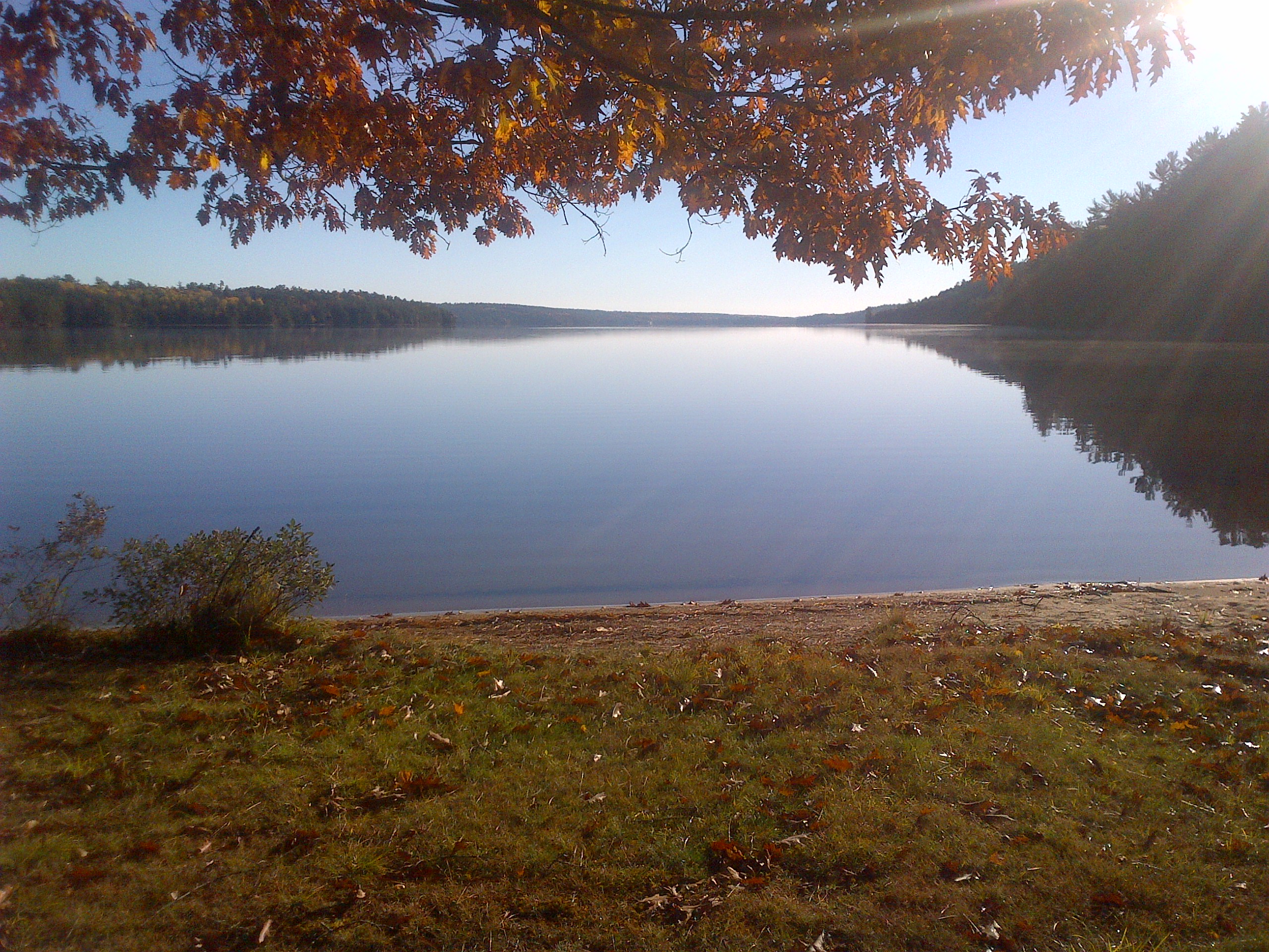 Home check service for remote and vacant properties